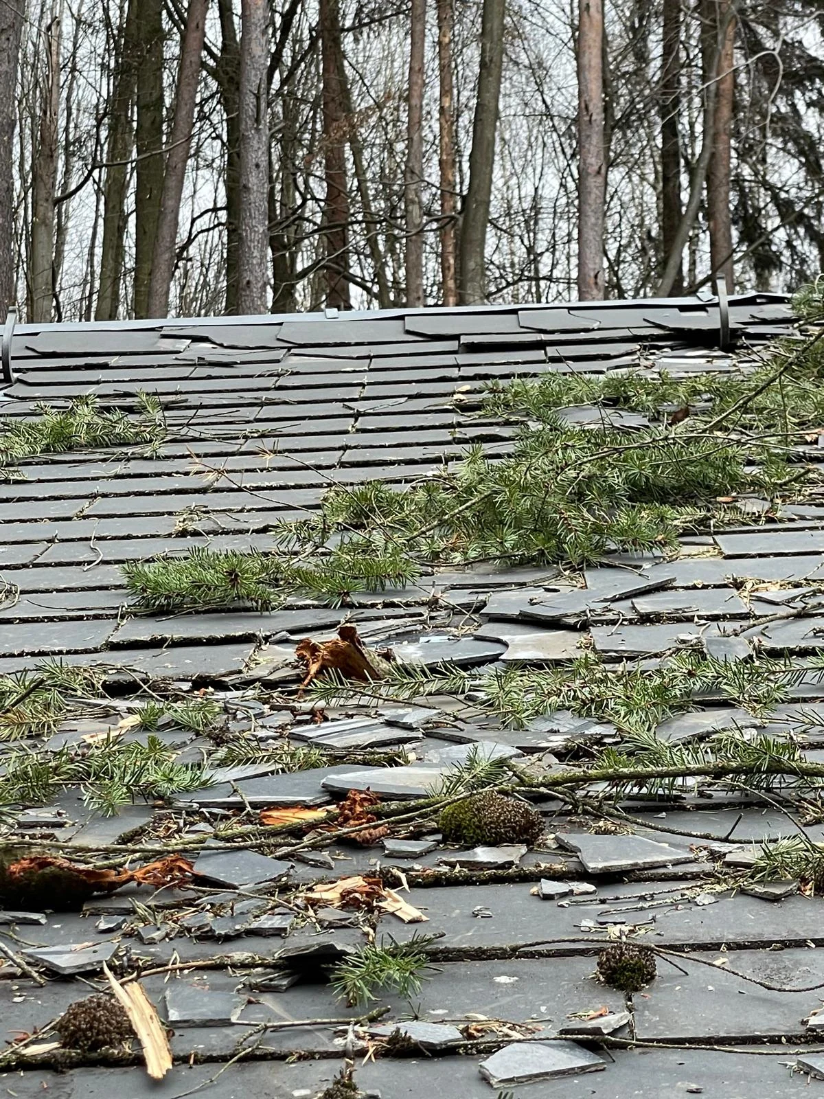 Travaux sur une toiture nécessitant une recherche de fuite